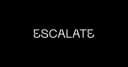 Escalate Ltd logo